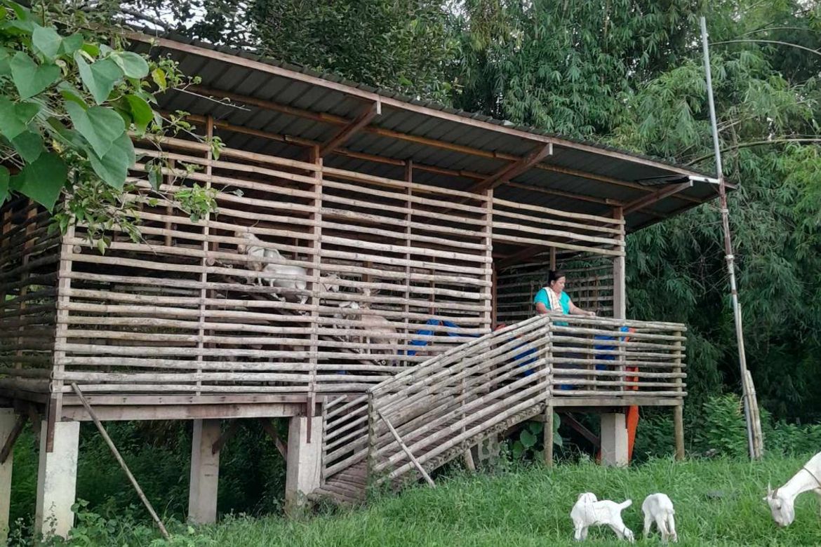 Land for Sale in Awile, Anda, Pangasinan – photo 7