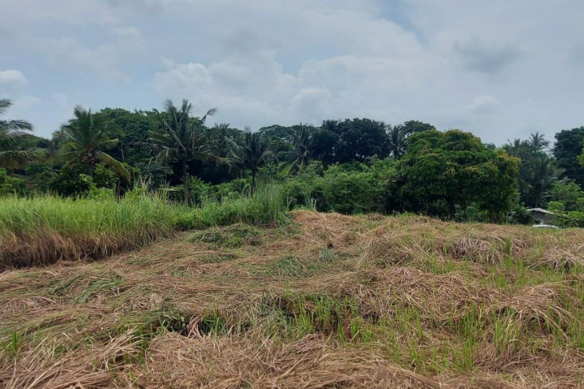 Land for Sale in Aya, Talisay, Batangas
