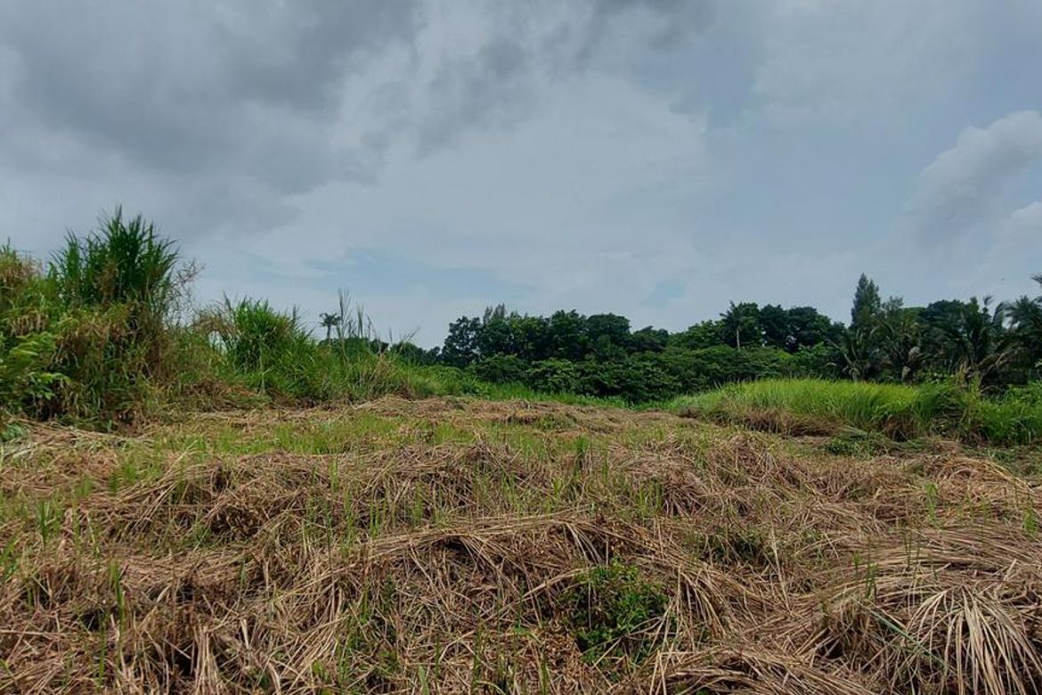 Land for Sale in Aya, Talisay, Batangas – photo 2
