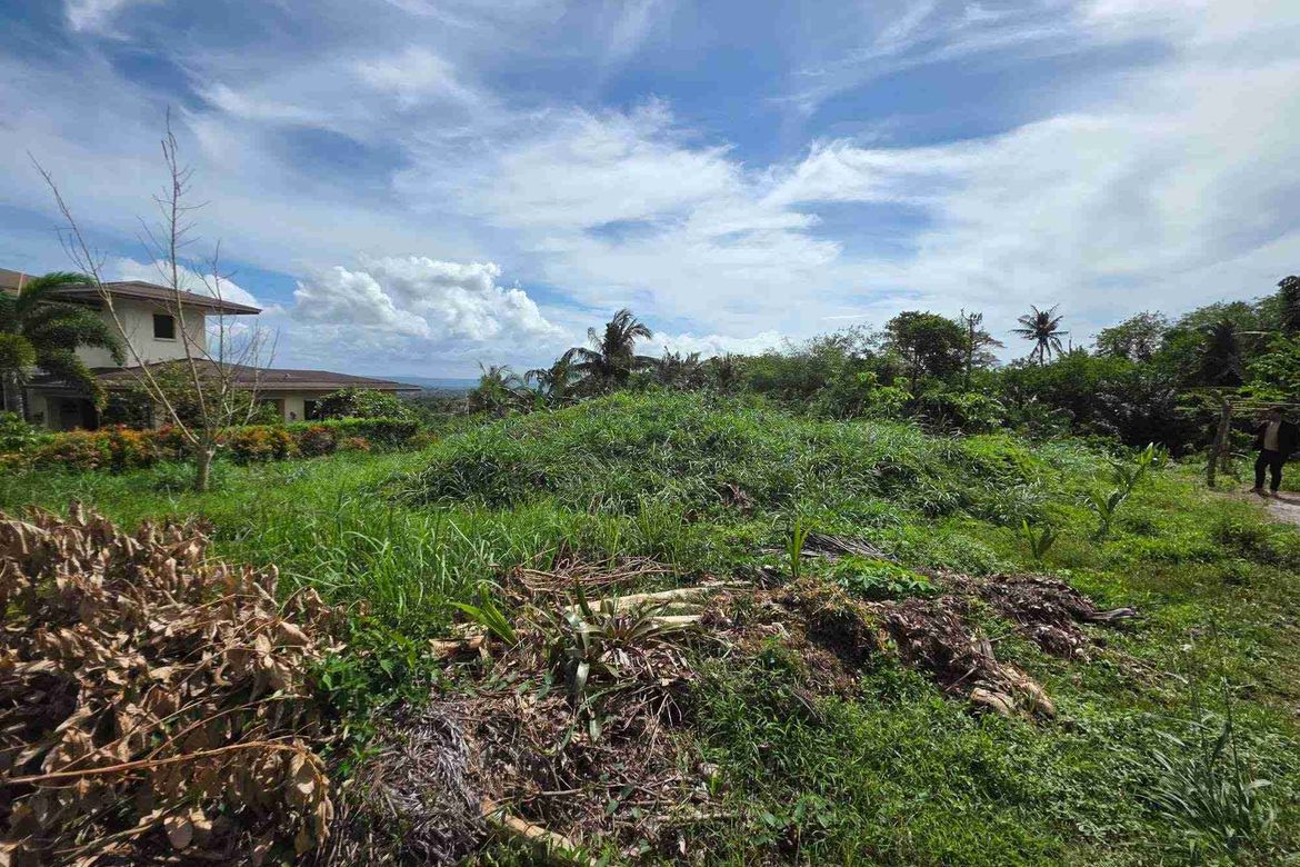 Land for Sale in Aya, Talisay, Batangas
