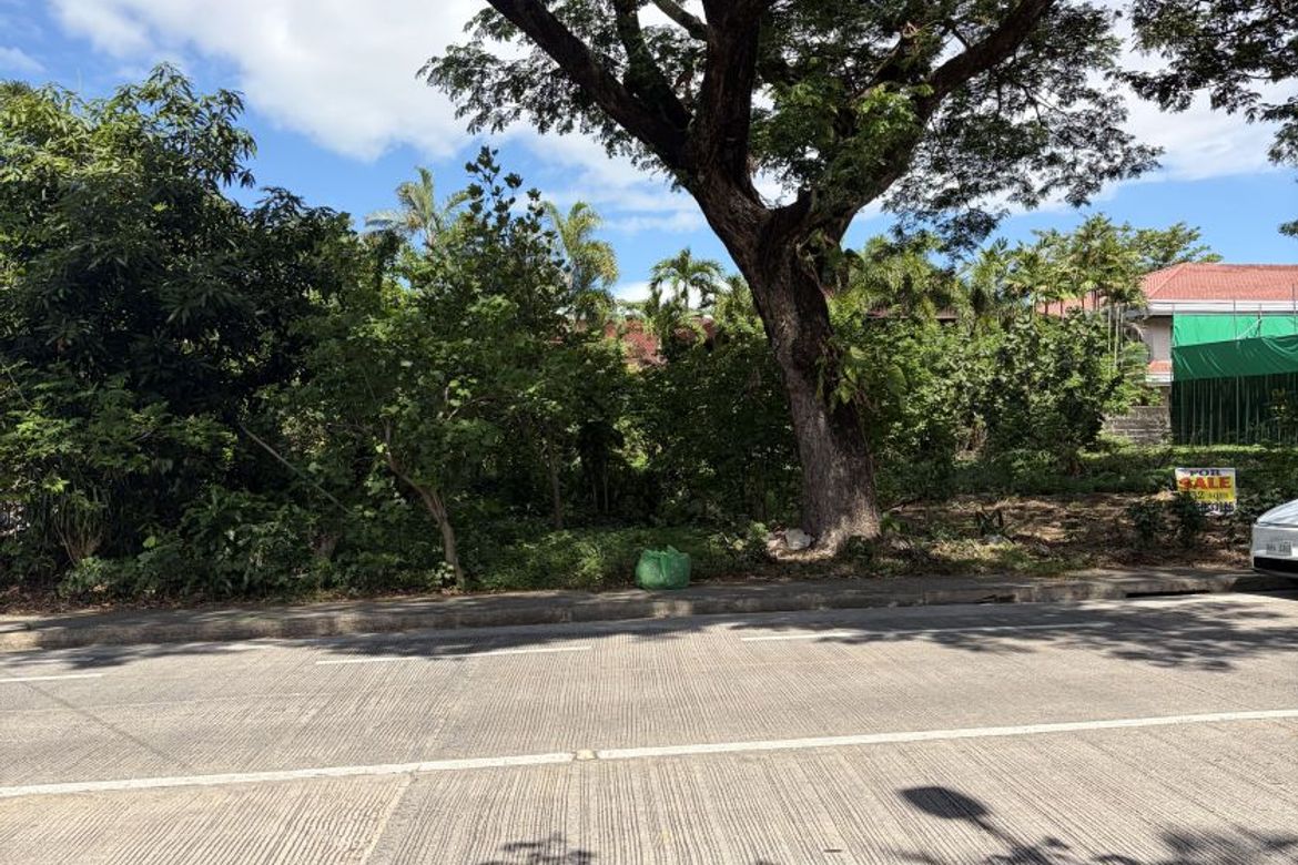 Land for Sale in Ayala Alabang Village, New Alabang Village, Muntinlupa, Metro Manila – photo 2