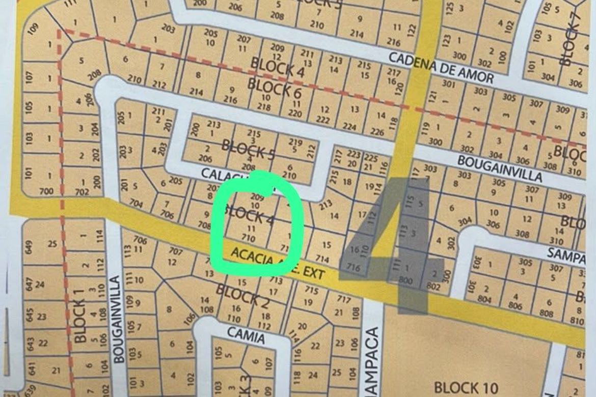 Land for Sale in Ayala Alabang Village, New Alabang Village, Muntinlupa, Metro Manila – photo 6