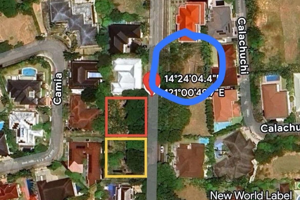 Land for Sale in Ayala Alabang Village, New Alabang Village, Muntinlupa, Metro Manila – photo 7