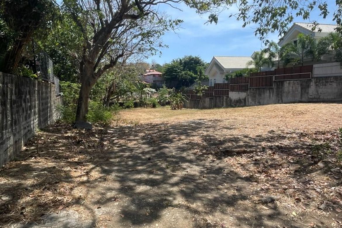 Land for Sale in Ayala Alabang Village, New Alabang Village, Muntinlupa, Metro Manila – photo 5