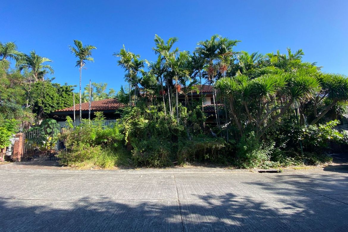 Land for Sale in Ayala Alabang Village, New Alabang Village, Muntinlupa, Metro Manila – photo 4