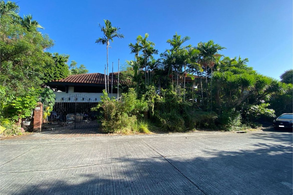 Land for Sale in Ayala Alabang Village, New Alabang Village, Muntinlupa, Metro Manila – photo 5