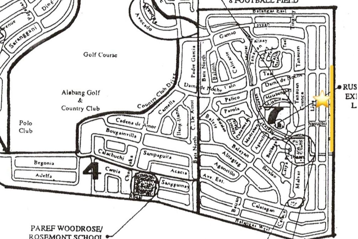 Land for Sale in Ayala Alabang Village, New Alabang Village, Muntinlupa, Metro Manila – photo 8