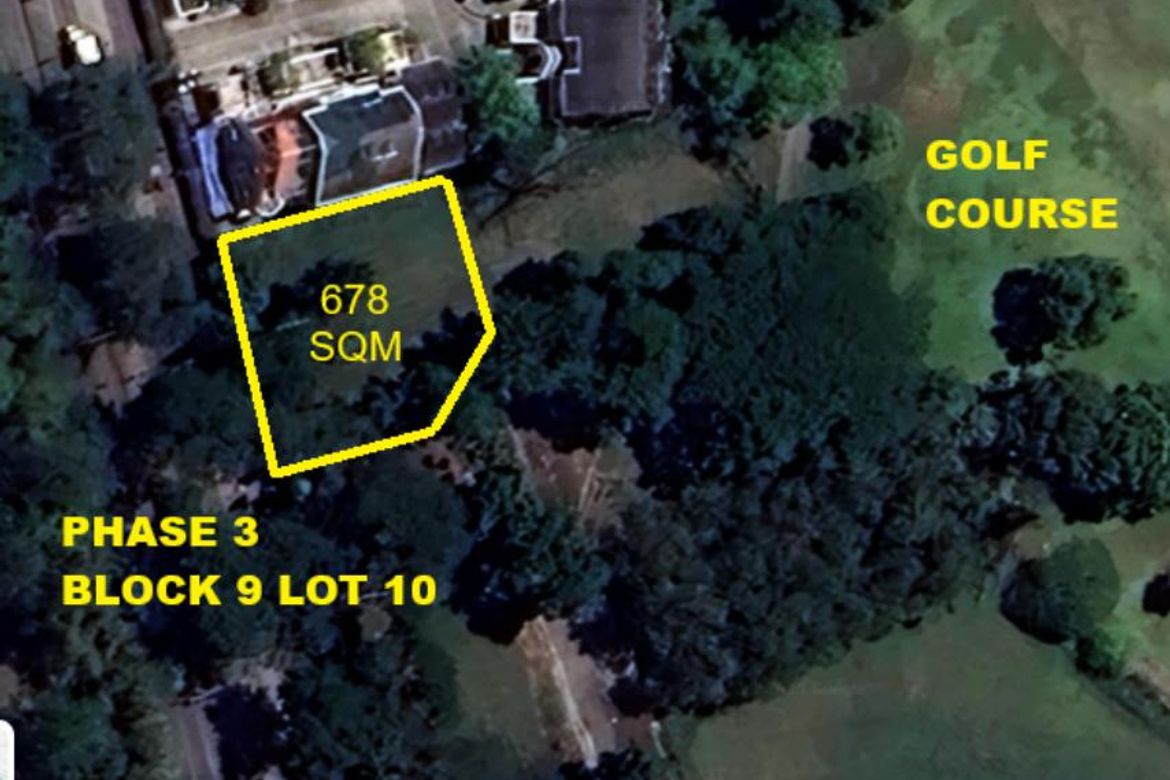 Land for Sale in Ayala Alabang Village, New Alabang Village, Muntinlupa, Metro Manila – photo 3
