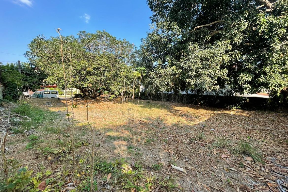 Land for Sale in Ayala Alabang Village, New Alabang Village, Muntinlupa, Metro Manila – photo 3