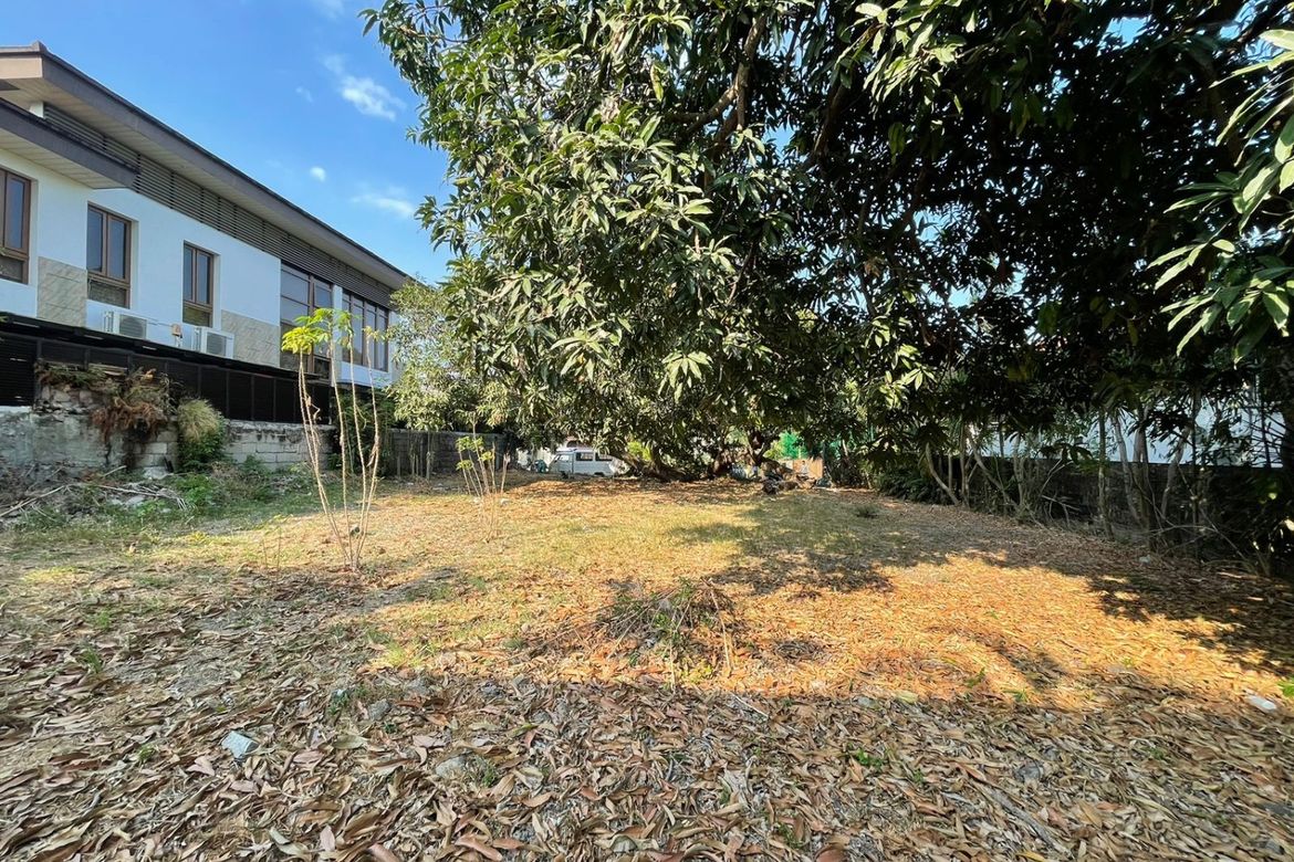 Land for Sale in Ayala Alabang Village, New Alabang Village, Muntinlupa, Metro Manila – photo 4