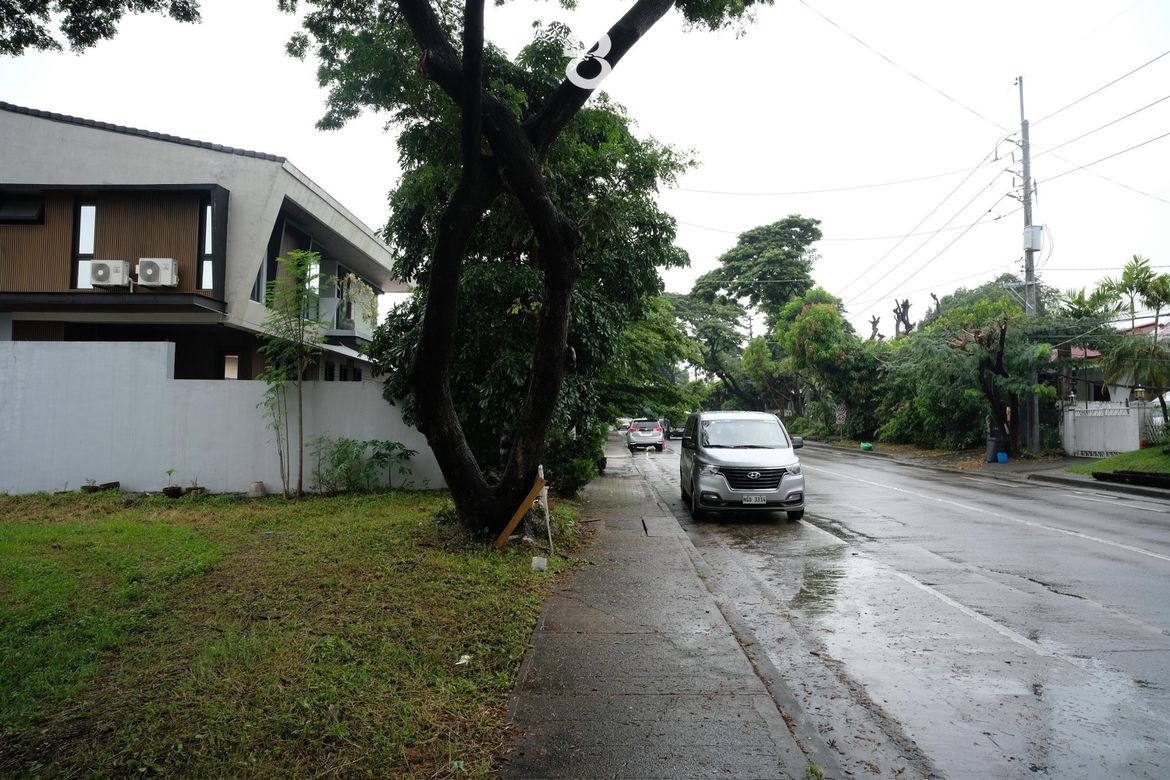 Land for Sale in Ayala Alabang Village, New Alabang Village, Muntinlupa, Metro Manila – photo 2