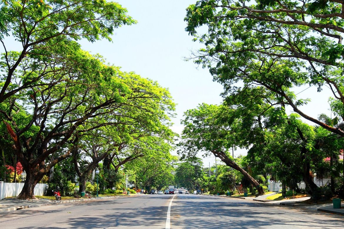 Land for Sale in Ayala Alabang Village, New Alabang Village, Muntinlupa, Metro Manila