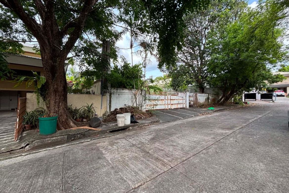 Land for Sale in Ayala Alabang Village, New Alabang Village, Muntinlupa, Metro Manila – photo 2
