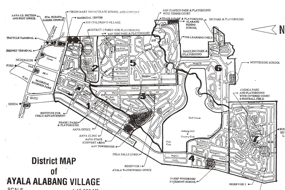 Land for Sale in Ayala Alabang Village, New Alabang Village, Muntinlupa, Metro Manila – photo 2