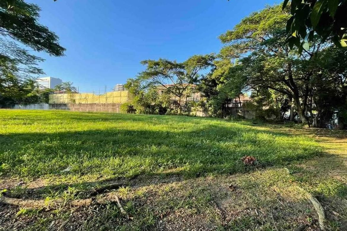 Land for Sale in Ayala Alabang Village, New Alabang Village, Muntinlupa, Metro Manila – photo 3