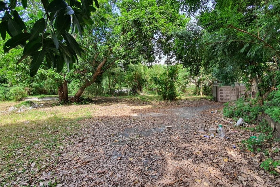 Land for Sale in Ayala Alabang Village, New Alabang Village, Muntinlupa, Metro Manila – photo 2