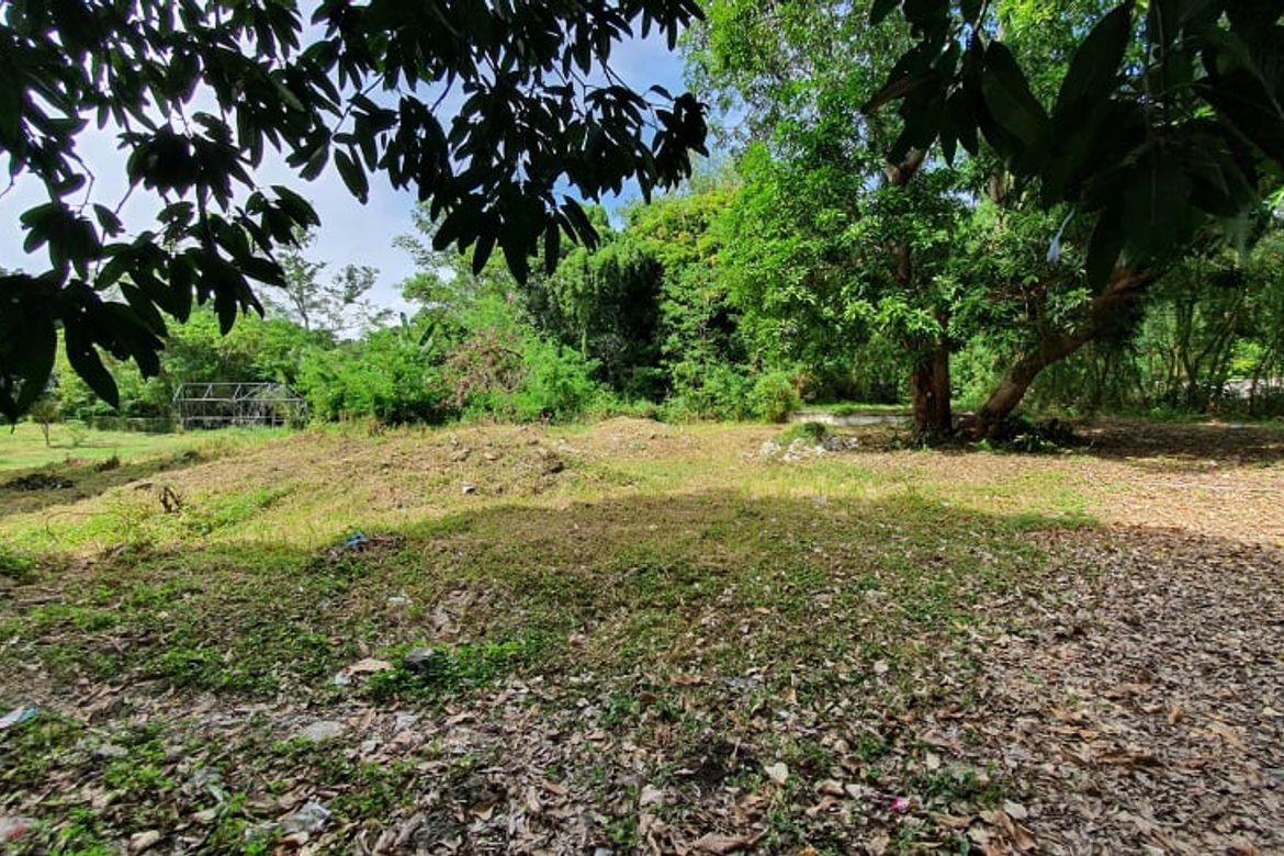 Land for Sale in Ayala Alabang Village, New Alabang Village, Muntinlupa, Metro Manila – photo 5