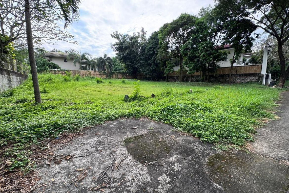 Land for Sale in Ayala Alabang Village, New Alabang Village, Muntinlupa, Metro Manila – photo 3