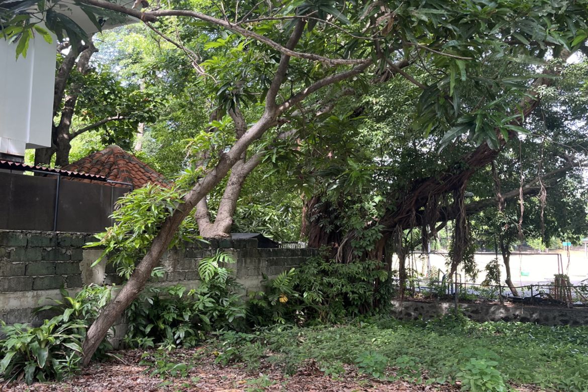 Land for Sale in Ayala Alabang Village, New Alabang Village, Muntinlupa, Metro Manila – photo 2