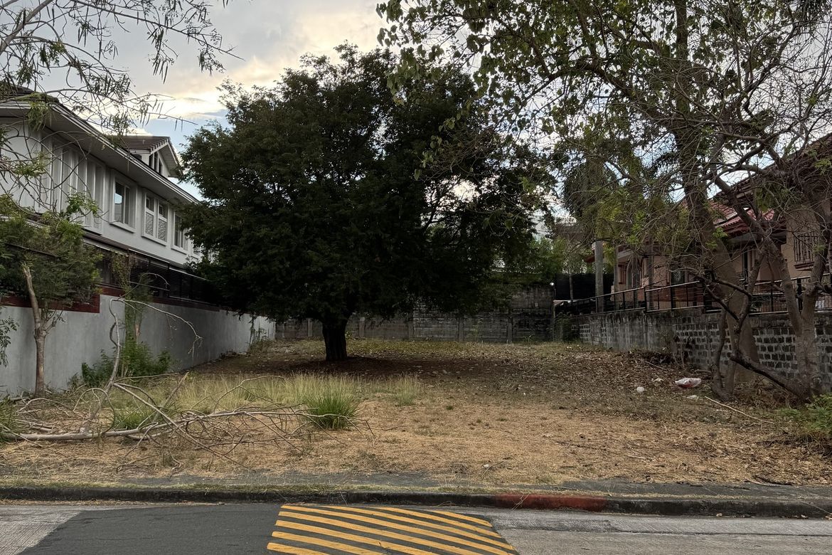 Land for Sale in Ayala Alabang Village, New Alabang Village, Muntinlupa, Metro Manila – photo 2