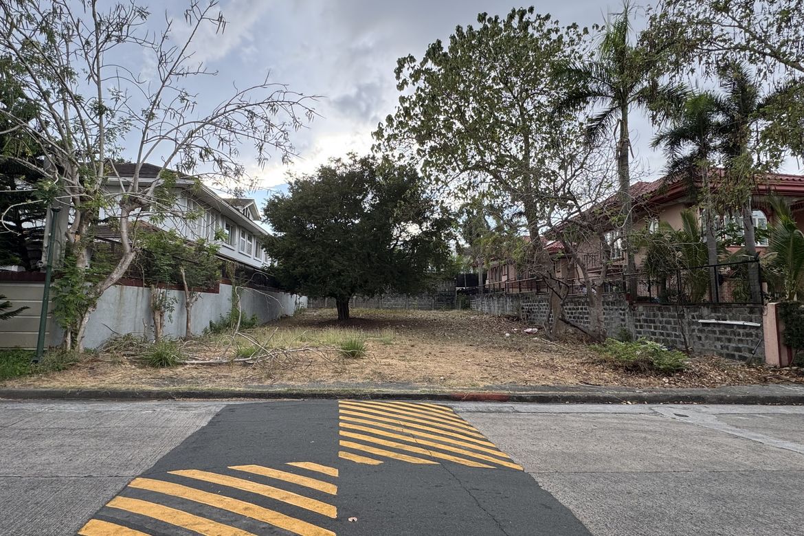 Land for Sale in Ayala Alabang Village, New Alabang Village, Muntinlupa, Metro Manila – photo 3