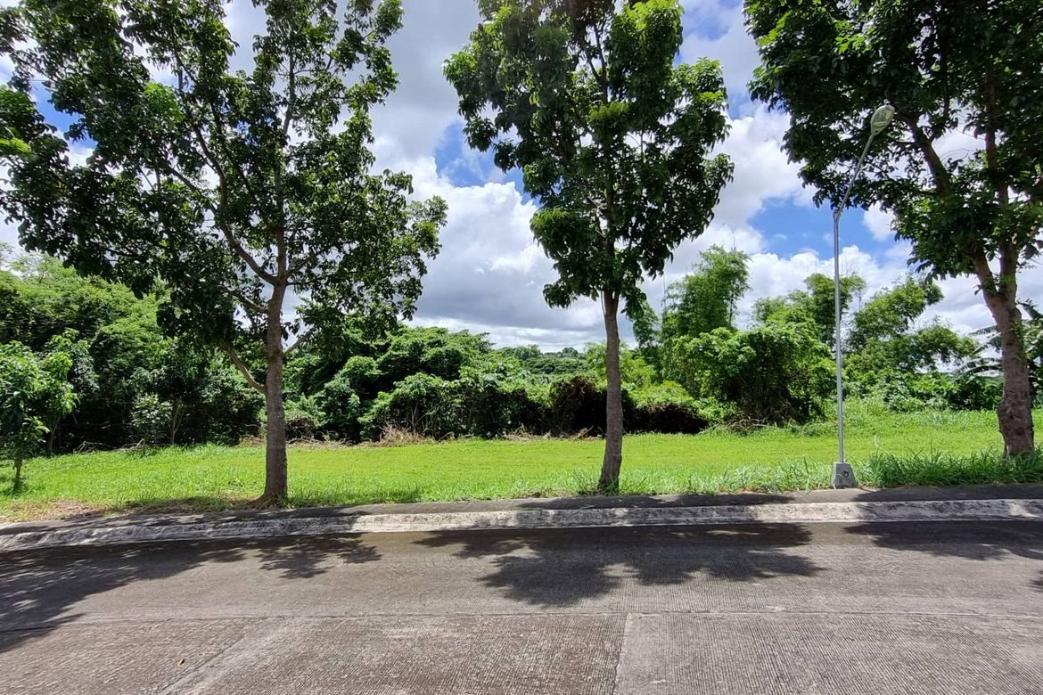 Land for Sale in Ayala Alabang Village, New Alabang Village, Muntinlupa, Metro Manila – photo 5