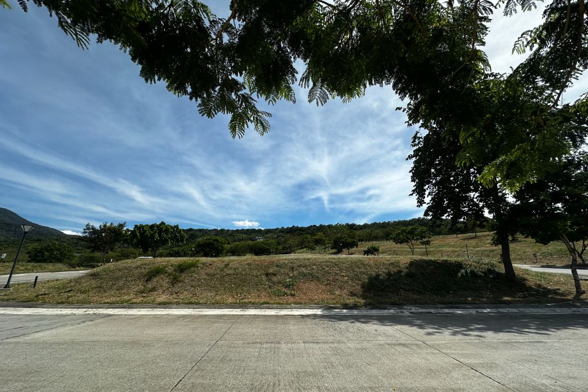 Land for Sale in Ayala Greenfield Estates, Maunong, Calamba, Laguna – photo 4