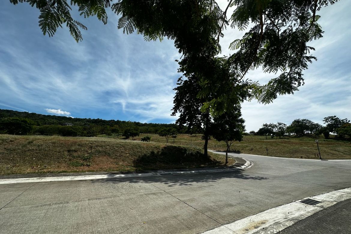 Land for Sale in Ayala Greenfield Estates, Maunong, Calamba, Laguna – photo 6
