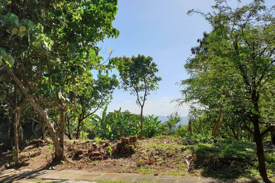 Land for Sale in Ayala Greenfield Estates, Maunong, Calamba, Laguna