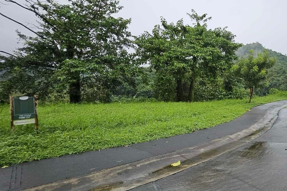 Land for Sale in Ayala Greenfield Estates, Maunong, Calamba, Laguna – photo 4