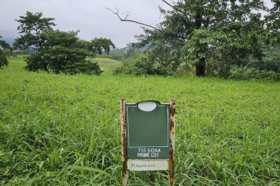 Land for Sale in Ayala Greenfield Estates, Maunong, Calamba, Laguna – photo 5