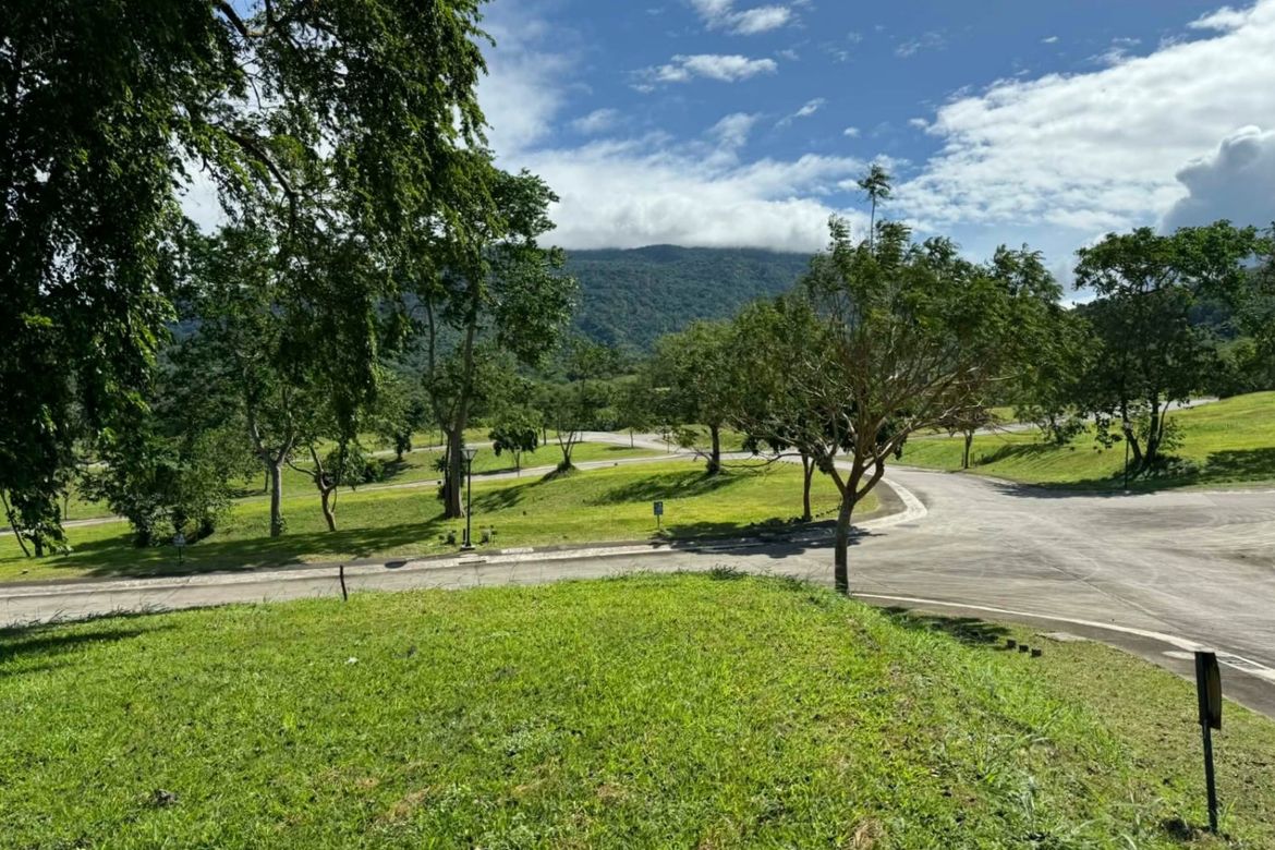 Land for Sale in Ayala Greenfield Estates, Maunong, Calamba, Laguna – photo 6