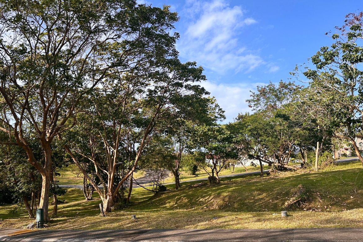 Land for Sale in Ayala Greenfield Estates, Maunong, Calamba, Laguna