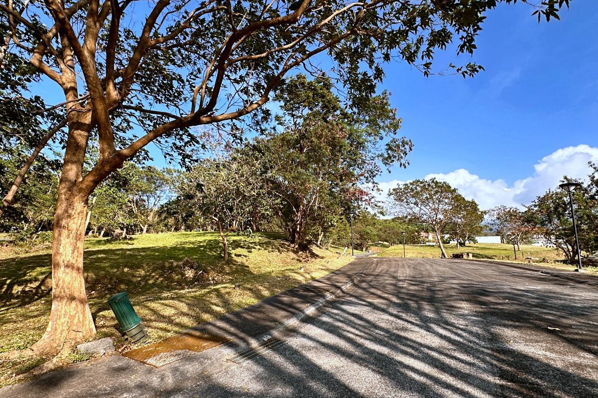 Land for Sale in Ayala Greenfield Estates, Maunong, Calamba, Laguna – photo 3