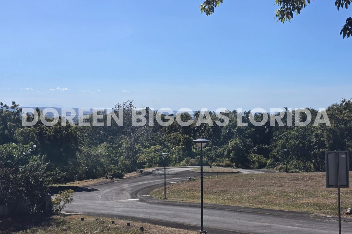 Land for Sale in Ayala Greenfield Estates, Maunong, Calamba, Laguna – photo 3