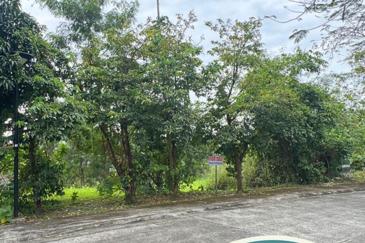 Land for Sale in Ayala Greenfield Estates, Maunong, Calamba, Laguna – photo 3
