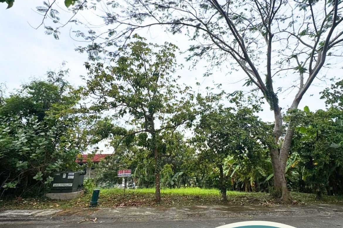 Land for Sale in Ayala Greenfield Estates, Maunong, Calamba, Laguna – photo 5