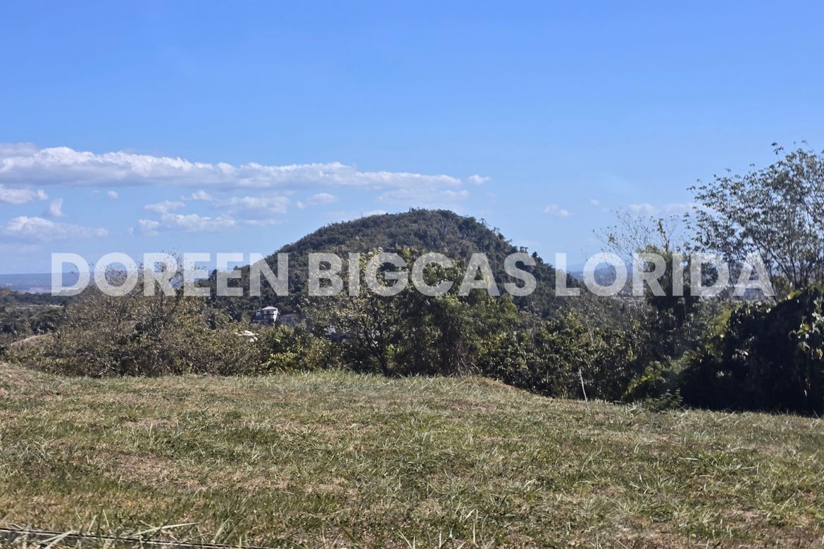 Land for Sale in Ayala Greenfield Estates, Maunong, Calamba, Laguna