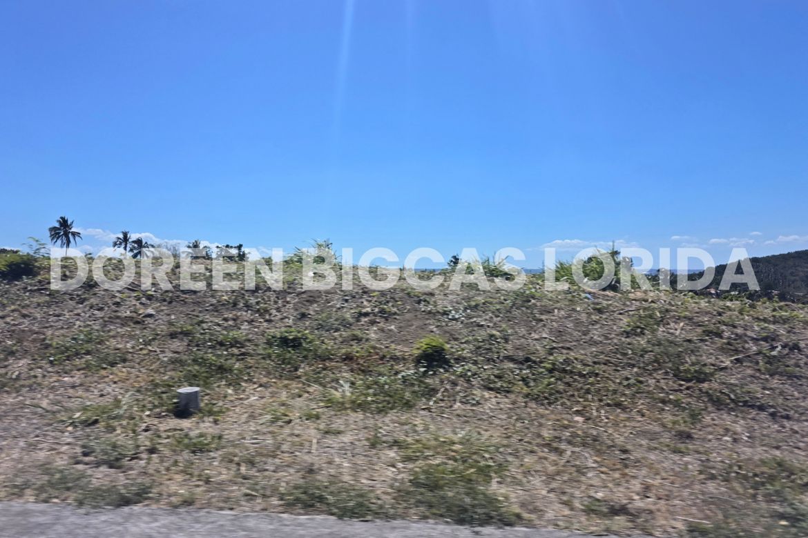 Land for Sale in Ayala Greenfield Estates, Maunong, Calamba, Laguna – photo 4