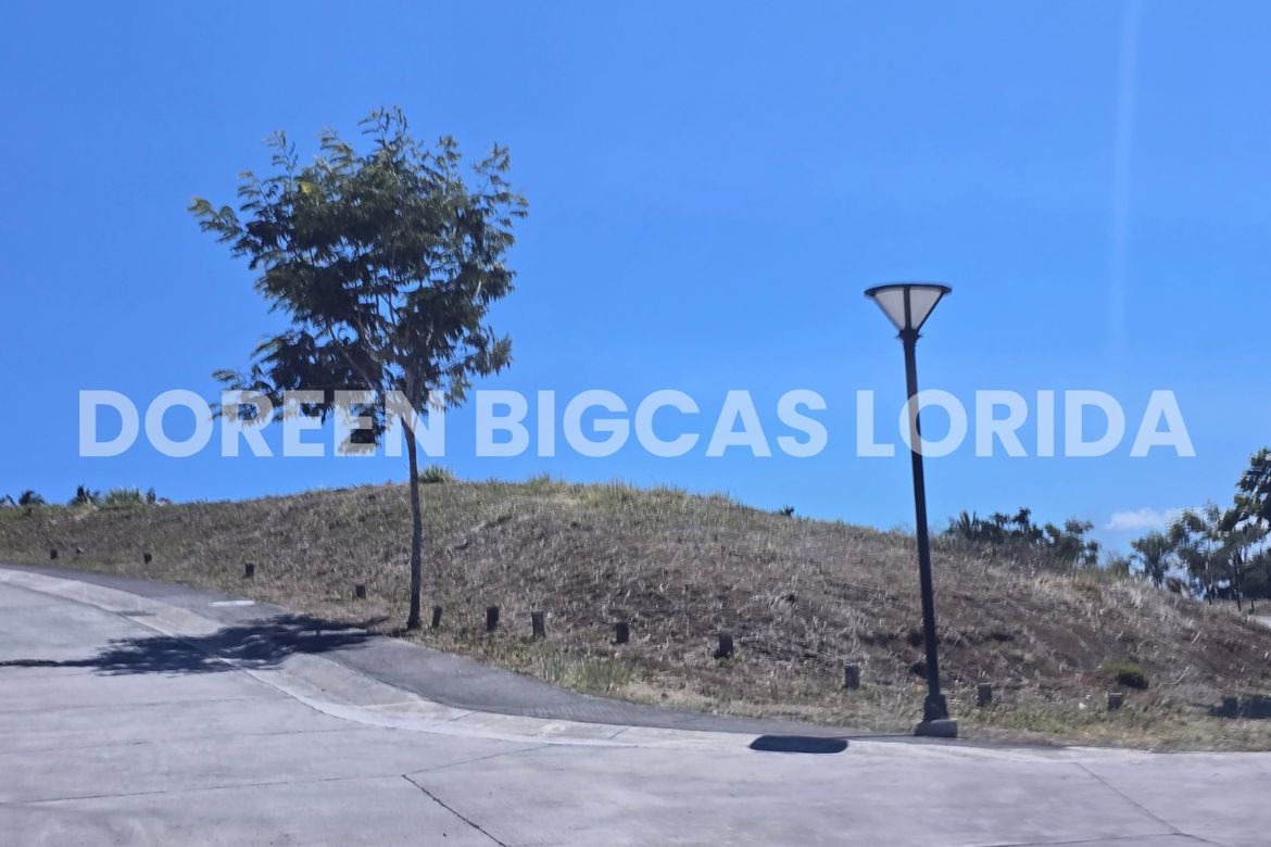 Land for Sale in Ayala Greenfield Estates, Maunong, Calamba, Laguna – photo 5