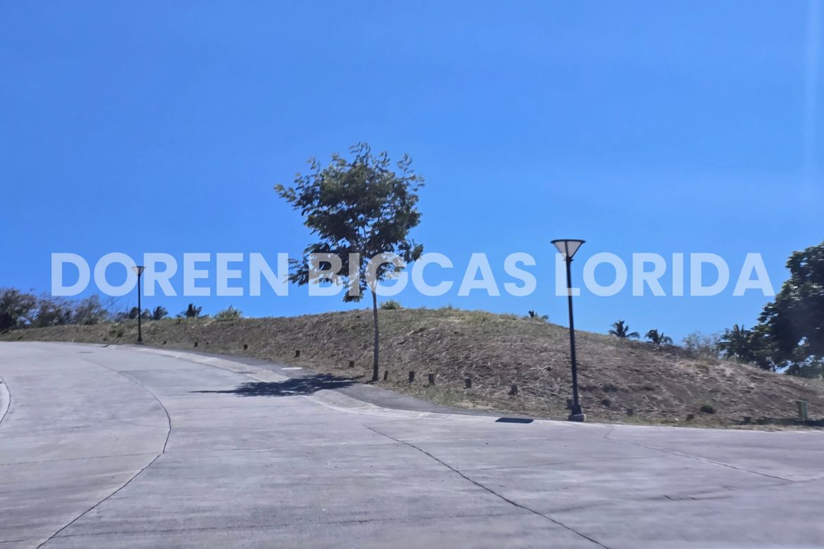 Land for Sale in Ayala Greenfield Estates, Maunong, Calamba, Laguna – photo 7