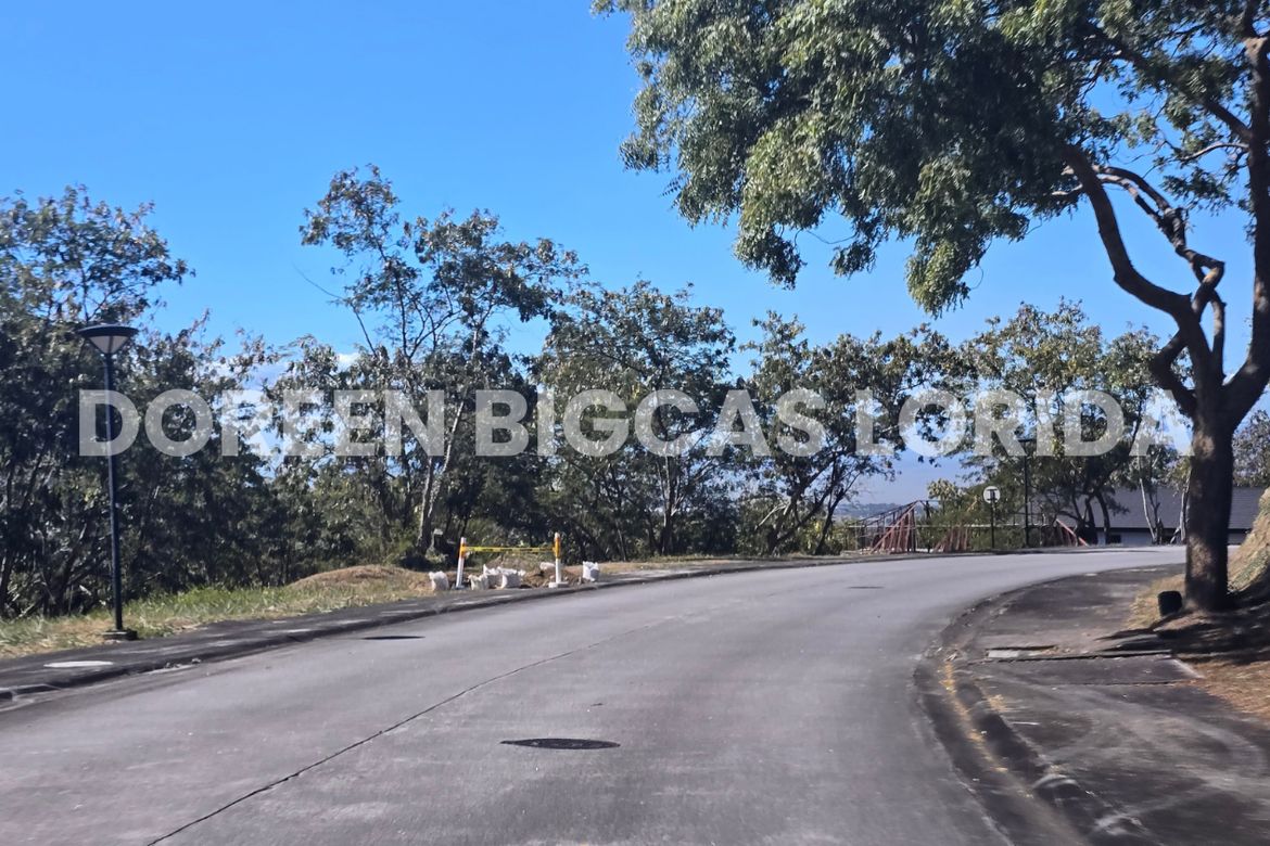 Land for Sale in Ayala Greenfield Estates, Maunong, Calamba, Laguna – photo 2