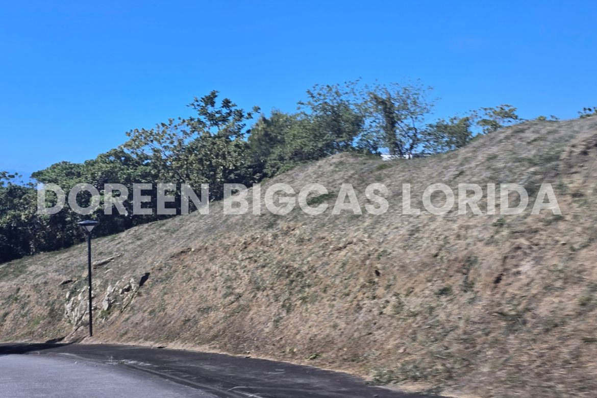 Land for Sale in Ayala Greenfield Estates, Maunong, Calamba, Laguna – photo 3