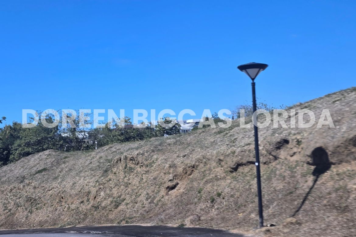 Land for Sale in Ayala Greenfield Estates, Maunong, Calamba, Laguna