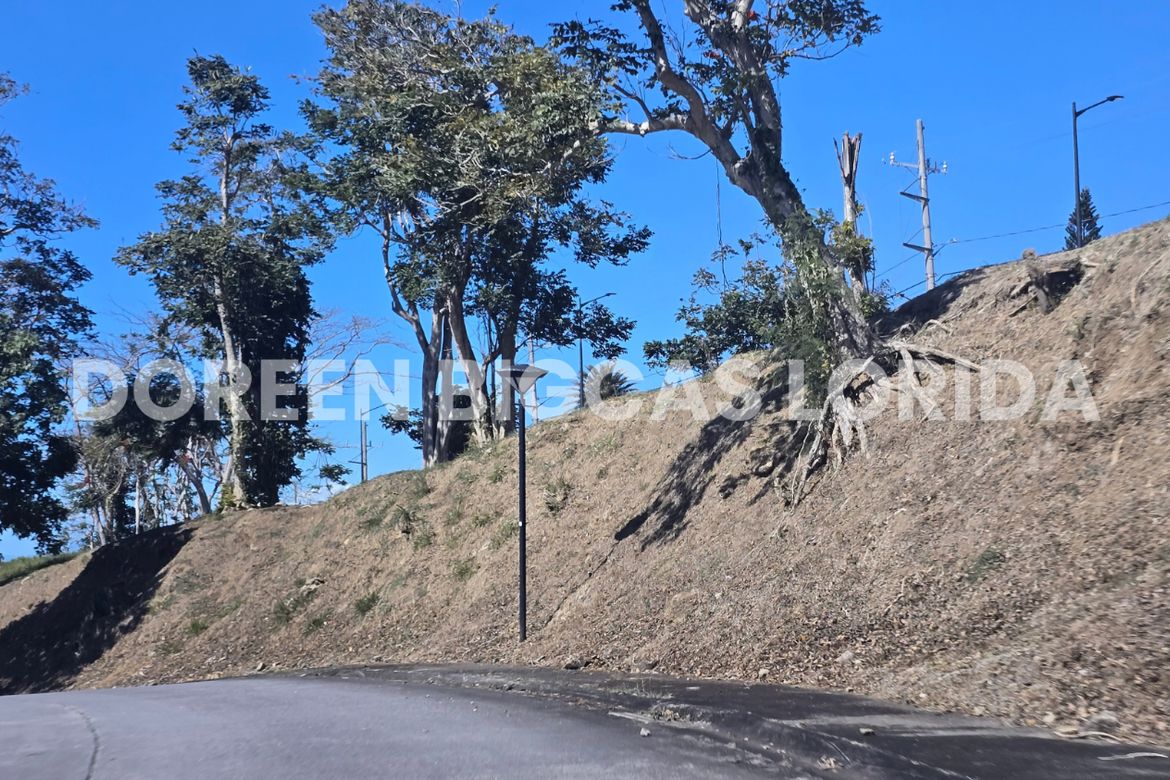Land for Sale in Ayala Greenfield Estates, Maunong, Calamba, Laguna – photo 2