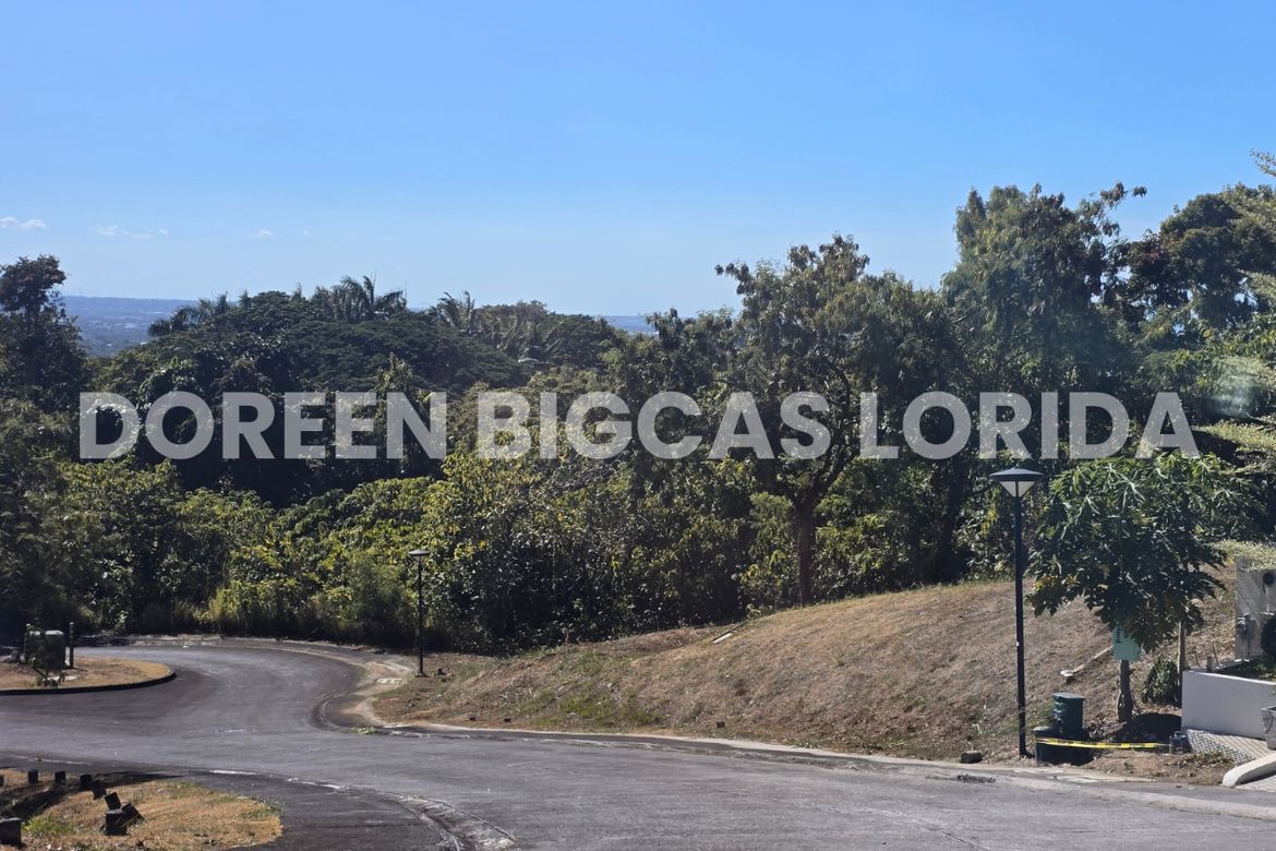 Land for Sale in Ayala Greenfield Estates, Maunong, Calamba, Laguna – photo 6