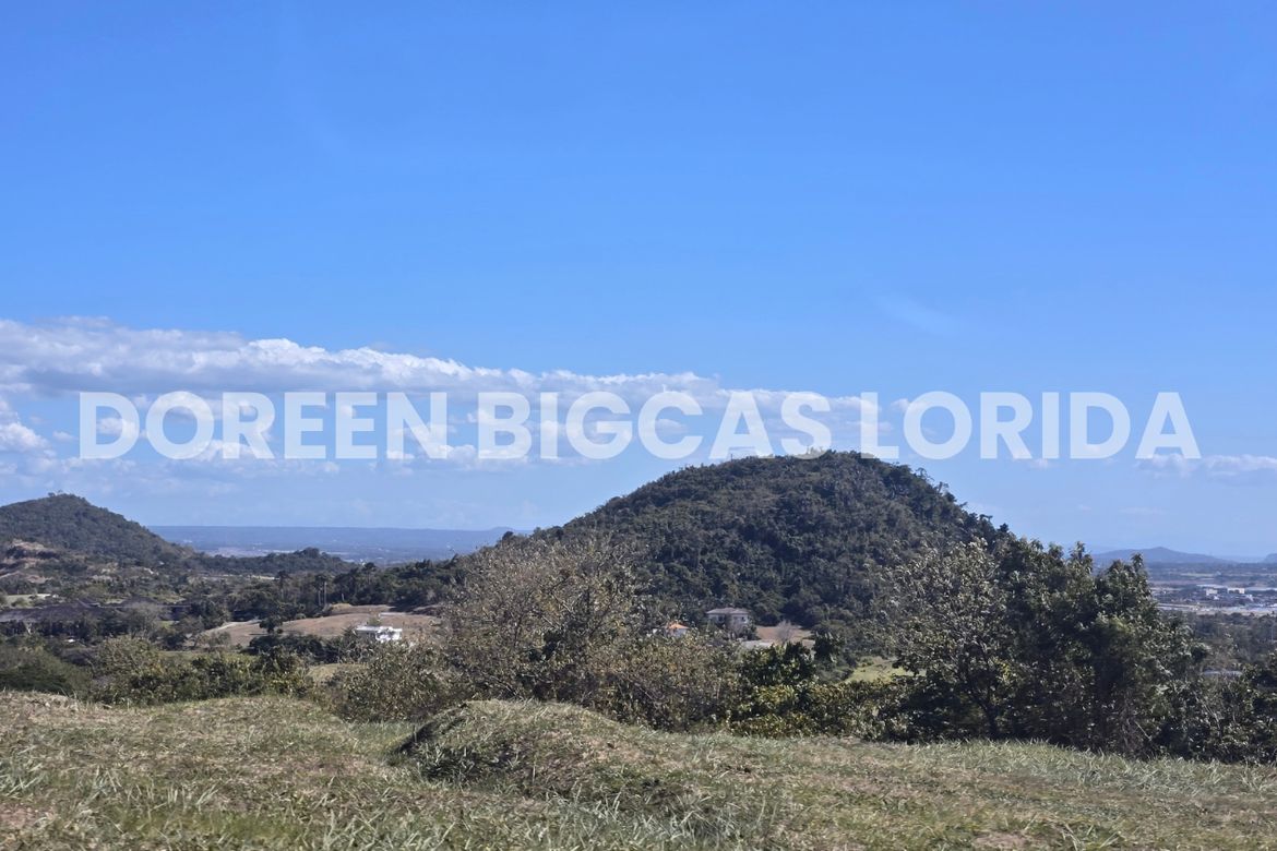 Land for Sale in Ayala Greenfield Estates, Maunong, Calamba, Laguna – photo 2
