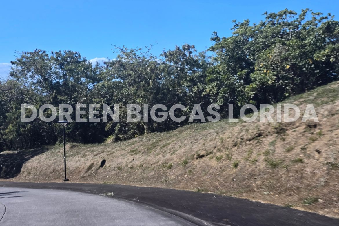 Land for Sale in Ayala Greenfield Estates, Maunong, Calamba, Laguna – photo 7