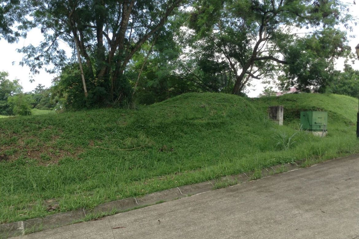 Land for Sale in Ayala Greenfield Estates, Maunong, Calamba, Laguna – photo 4