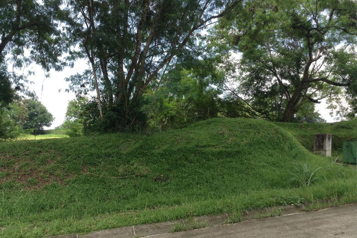 Land for Sale in Ayala Greenfield Estates, Maunong, Calamba, Laguna – photo 8